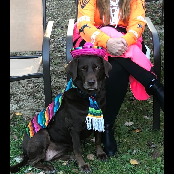 Meet your Posh Ambassador Jacquelynn - Picture 2 of 4